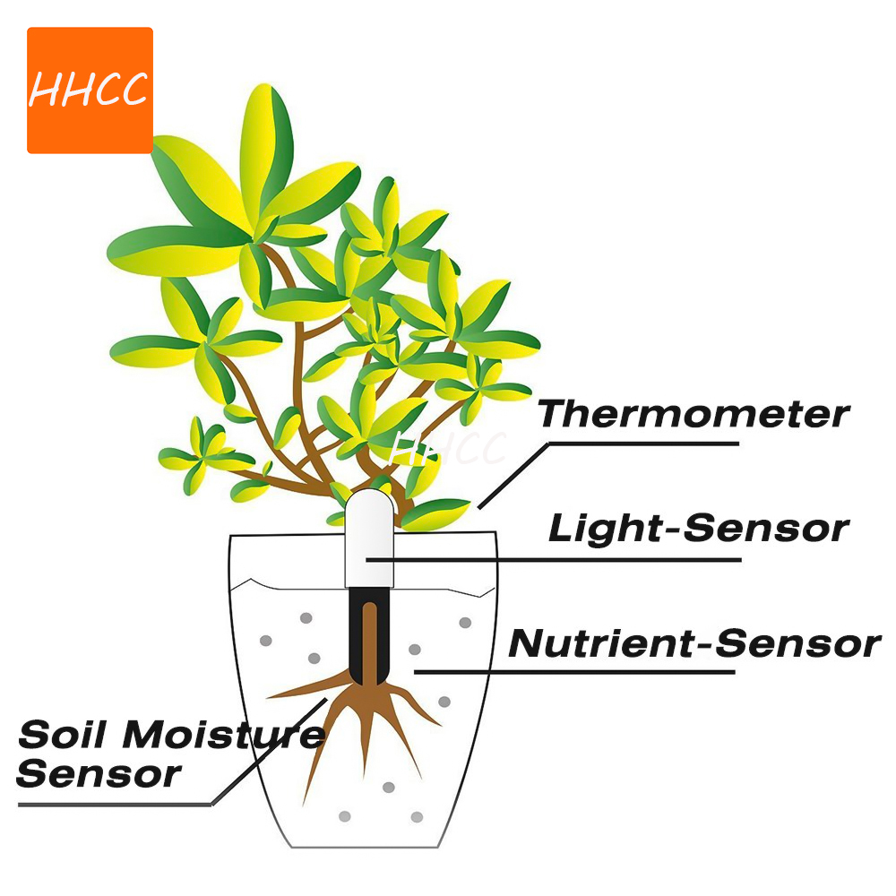 HHCC Monitor tanaman pintar pe - Smart Garden Xiaomi ulasan dan harga