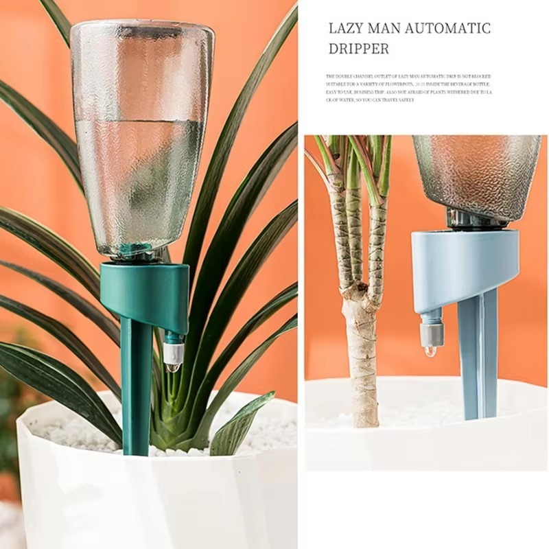 Paku tanaman bisa disesuaikan, - Smart Garden Herb ulasan dan harga